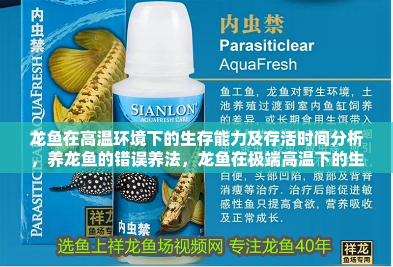 龍魚(yú)在高溫環(huán)境下的生存能力及存活時(shí)間分析，養(yǎng)龍魚(yú)的錯(cuò)誤養(yǎng)法，龍魚(yú)在極端高溫下的生存能力及存活時(shí)間分析