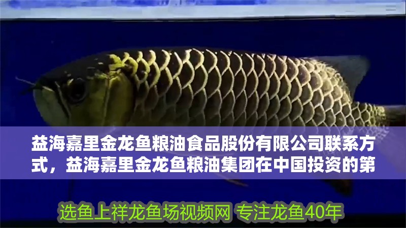 益海嘉里金龍魚糧油食品股份有限公司聯(lián)系方式，益海嘉里金龍魚糧油集團(tuán)在中國投資的第一家油脂工業(yè)