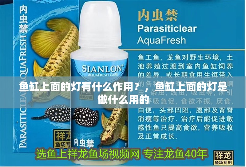 魚缸上面的燈有什么作用？，魚缸上面的燈是做什么用的