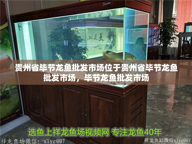 貴州省畢節龍魚批發市場位于貴州省畢節龍魚批發市場，畢節龍魚批發市場