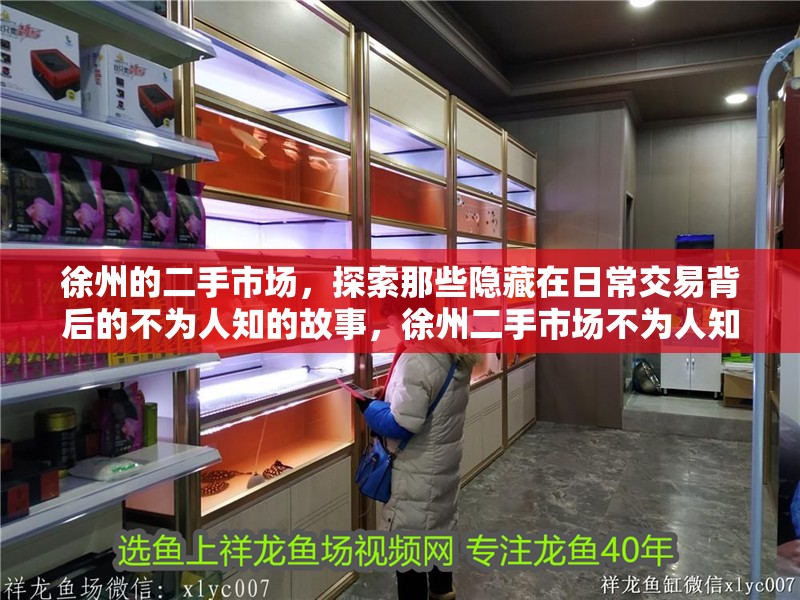 <strong><mark>徐州</mark></strong>的二手市場，探索那些隱藏在日常交易背后的不為人知的故事，<strong><mark>徐州</mark></strong>二手市場不為人知的故事