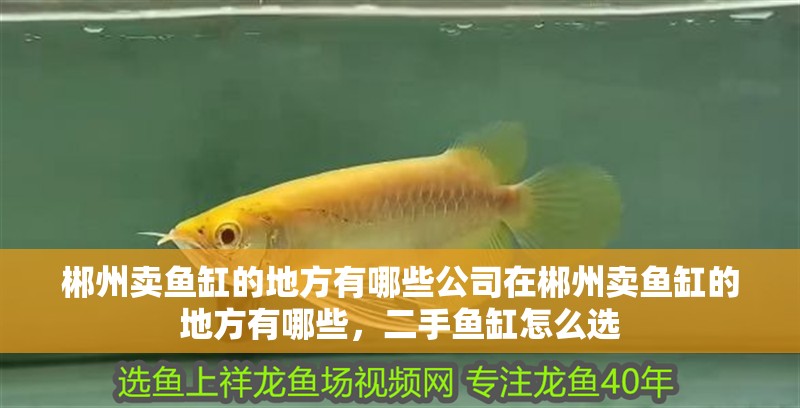 <strong><mark>郴州</mark></strong>賣魚缸的地方有哪些公司在<strong><mark>郴州</mark></strong>賣魚缸的地方有哪些，二手魚缸怎么選