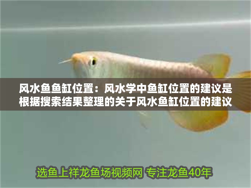 風水魚魚缸位置：風水學中魚缸位置的建議是根據搜索結果整理的關于風水魚缸位置的建議
