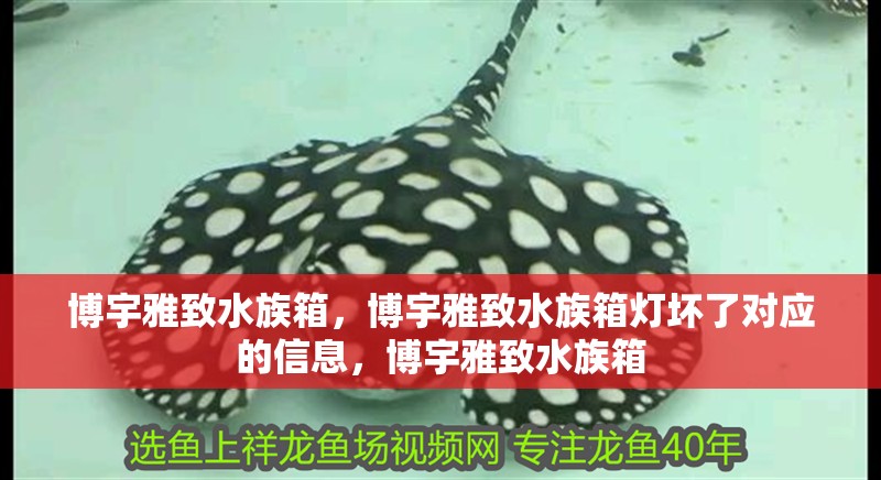 博宇雅致水族箱，博宇雅致水族箱燈壞了對應的信息，博宇雅致水族箱