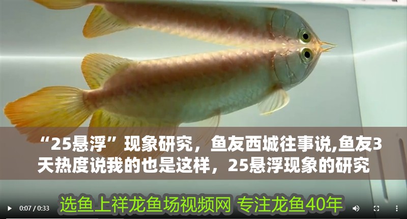 “25懸浮”現(xiàn)象研究，魚友西城往事說,魚友3天熱度說我的也是這樣，25懸浮現(xiàn)象的研究