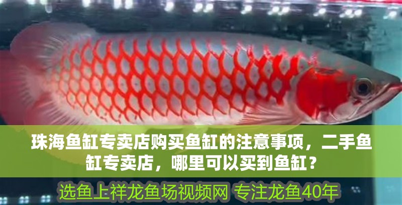 珠海魚缸專賣店購買魚缸的注意事項，二手魚缸專賣店，哪里可以買到魚缸？