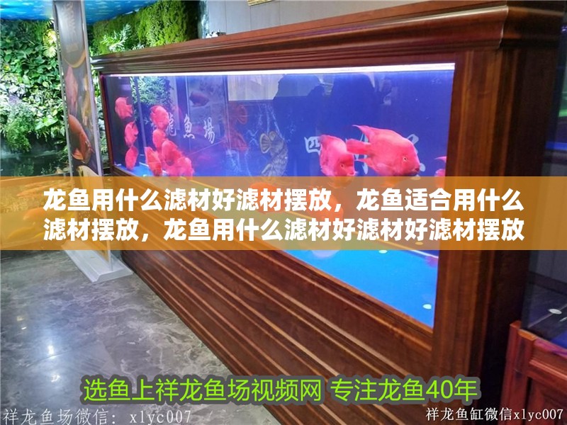 龍魚用什么濾材好濾材擺放，龍魚適合用什么濾材擺放，龍魚用什么濾材好濾材好濾材擺放龍魚用什么濾材合適