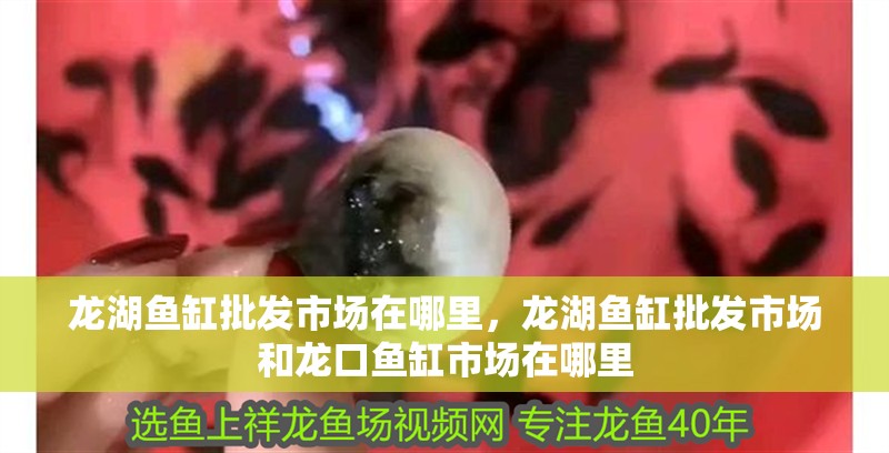 龍湖魚缸批發(fā)市場在哪里，龍湖魚缸批發(fā)市場和龍口魚缸市場在哪里