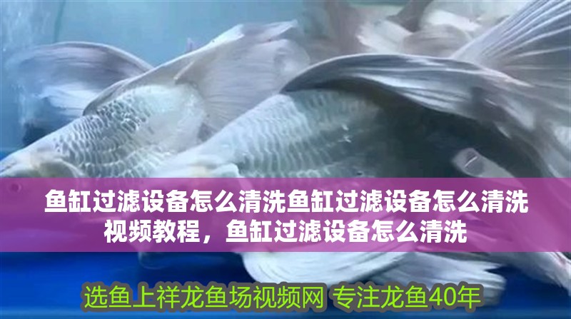 魚(yú)缸過(guò)濾設(shè)備怎么清洗魚(yú)缸過(guò)濾設(shè)備怎么清洗視頻教程，魚(yú)缸過(guò)濾設(shè)備怎么清洗