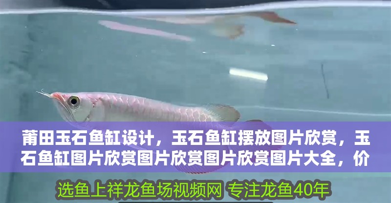 莆田玉石魚缸設(shè)計(jì)，玉石魚缸擺放圖片欣賞，玉石魚缸圖片欣賞圖片欣賞圖片欣賞圖片大全，價(jià)值無(wú)法估值
