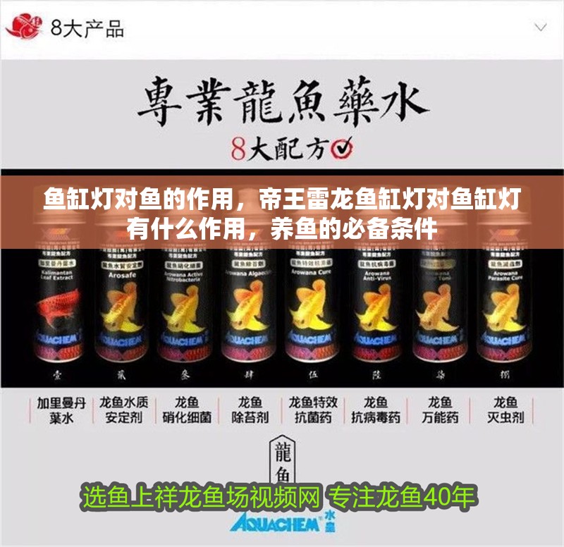魚缸燈對魚的作用，帝王雷龍魚缸燈對魚缸燈有什么作用，養(yǎng)魚的必備條件