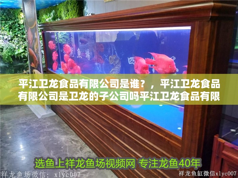 平江衛(wèi)龍食品有限公司是誰？，平江衛(wèi)龍食品有限公司是衛(wèi)龍的子公司嗎平江衛(wèi)龍食品有限公司