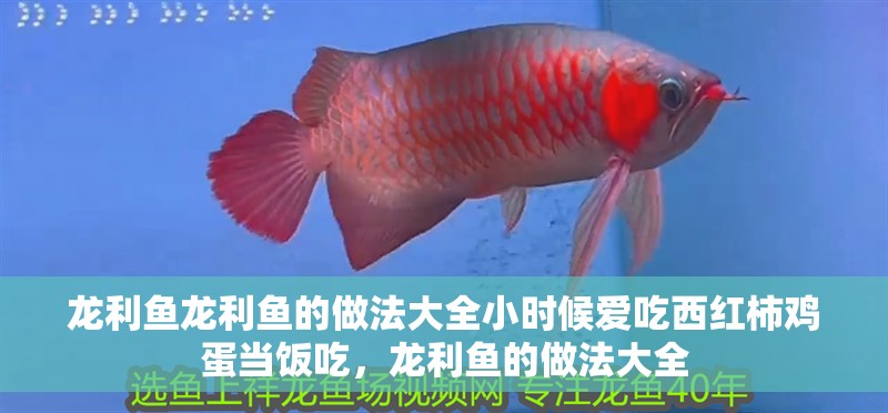 龍利魚龍利魚的做法大全小時候愛吃西紅柿雞蛋當飯吃，龍利魚的做法大全