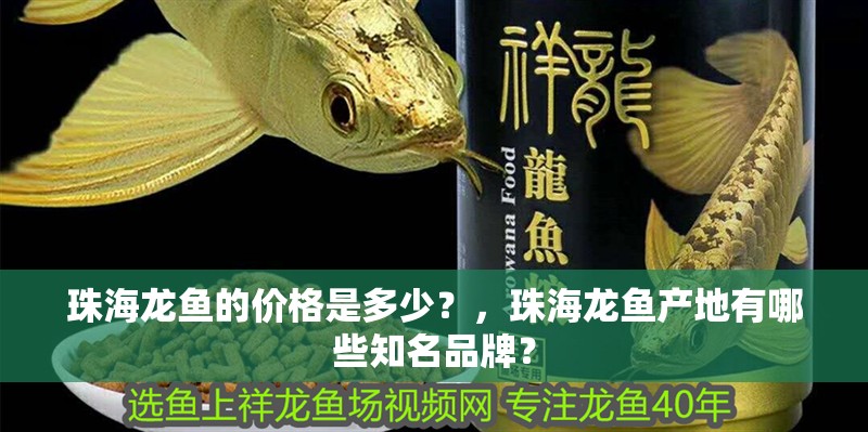 珠海龍魚的價格是多少？，珠海龍魚產地有哪些知名品牌？