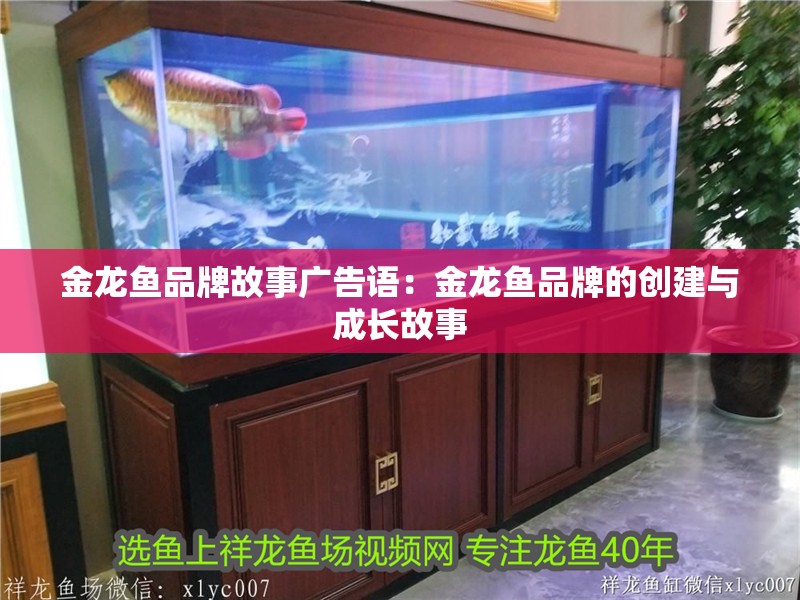 金龍魚品牌故事廣告語：金龍魚品牌的創(chuàng)建與成長故事