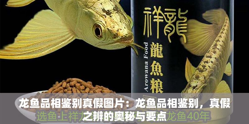 龍魚(yú)品相鑒別真假圖片：龍魚(yú)品相鑒別，真假之辨的奧秘與要點(diǎn)