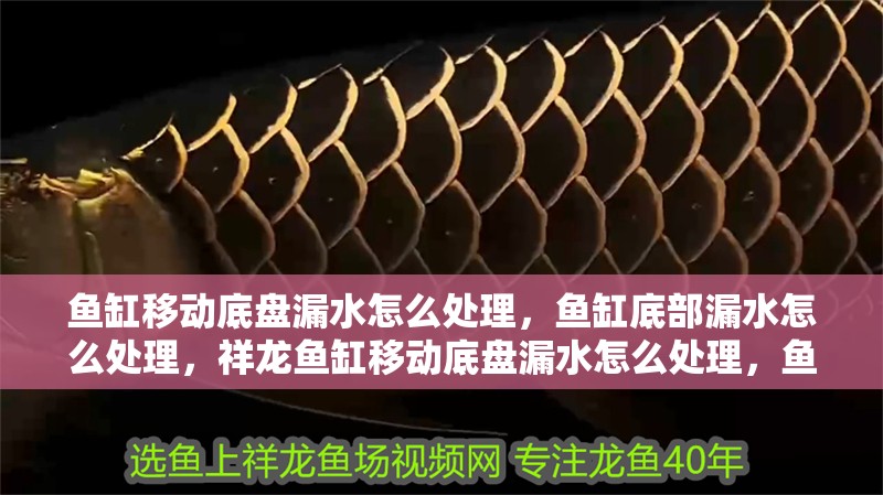 魚缸移動底盤漏水怎么處理，魚缸底部漏水怎么處理，祥龍魚缸移動底盤漏水怎么處理，魚缸底部漏水怎么處理