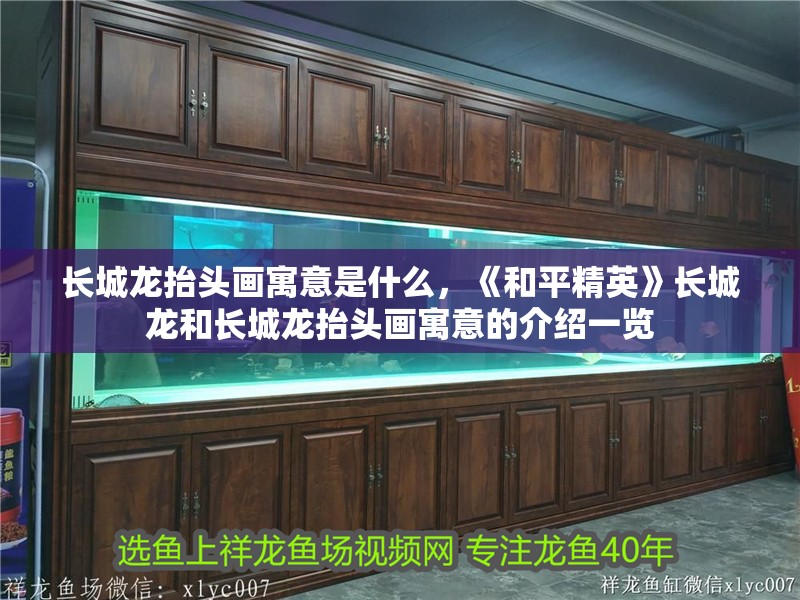 長城龍抬頭畫寓意是什么，《和平精英》長城龍和長城龍抬頭畫寓意的介紹一覽