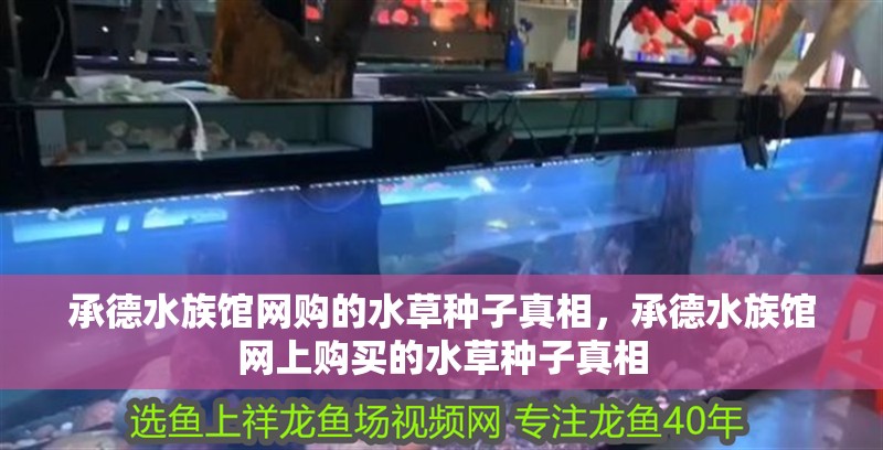 承德水族館網購的水草種子真相，承德水族館網上購買的水草種子真相