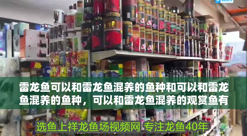 雷龍魚可以和雷龍魚混養的魚種和可以和雷龍魚混養的魚種，可以和雷龍魚混養的觀賞魚有哪些？
