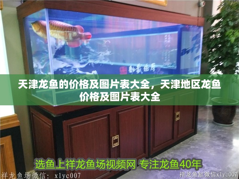 天津龍魚的價格及圖片表大全，天津地區龍魚價格及圖片表大全