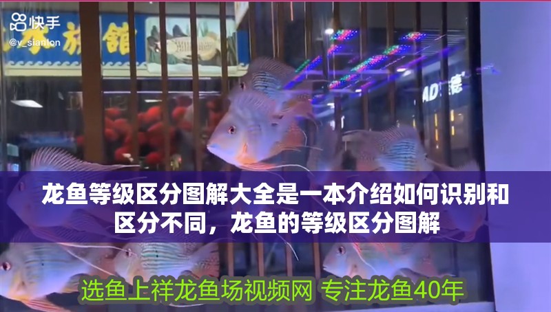 龍魚等級區(qū)分圖解大全是一本介紹如何識別和區(qū)分不同，龍魚的等級區(qū)分圖解