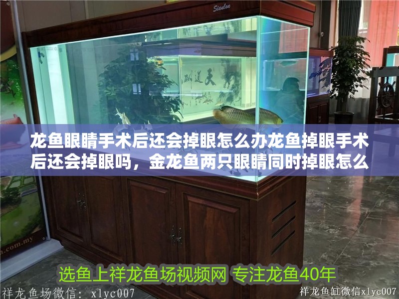 龍魚(yú)眼睛手術(shù)后還會(huì)掉眼怎么辦龍魚(yú)掉眼手術(shù)后還會(huì)掉眼嗎，金龍魚(yú)兩只眼睛同時(shí)掉眼怎么辦