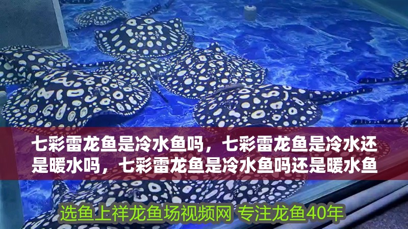 七彩雷龍魚是冷水魚嗎，七彩雷龍魚是冷水還是暖水嗎，七彩雷龍魚是冷水魚嗎還是暖水魚