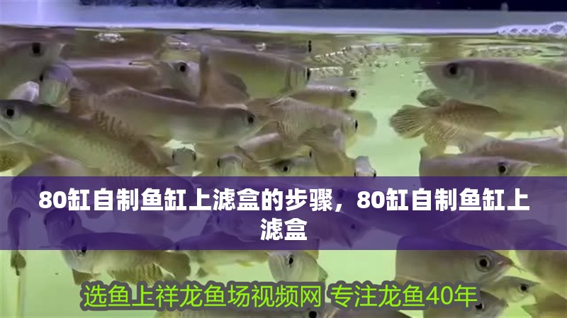 80缸自制魚缸上濾盒的步驟，80缸自制魚缸上濾盒