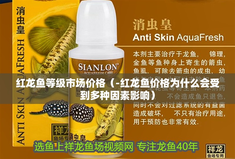 紅龍魚(yú)等級(jí)市場(chǎng)價(jià)格（-紅龍魚(yú)價(jià)格為什么會(huì)受到多種因素影響）
