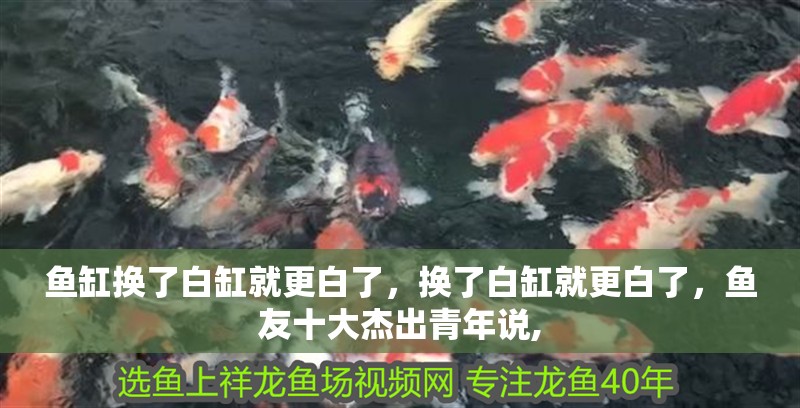 魚缸換了白缸就更白了，換了白缸就更白了，魚友十大杰出青年說,
