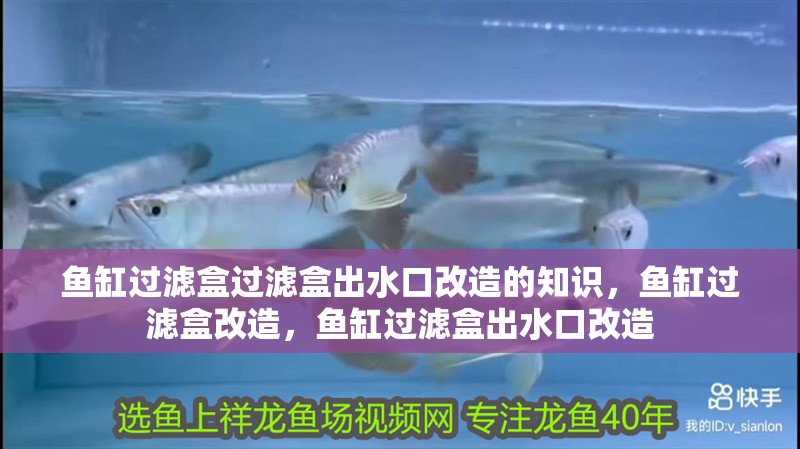 魚缸過濾盒過濾盒出水口改造的知識，魚缸過濾盒改造，魚缸過濾盒出水口改造
