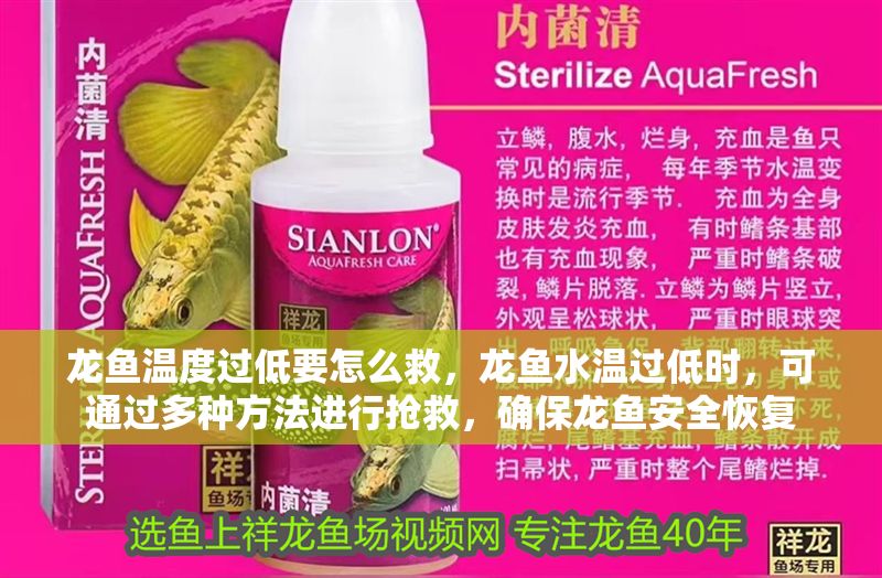 龍魚溫度過低要怎么救，龍魚水溫過低時，可通過多種方法進行搶救，確保龍魚安全恢復