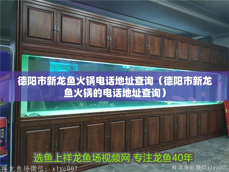 德陽市新龍魚火鍋電話地址查詢（德陽市新龍魚火鍋的電話地址查詢）