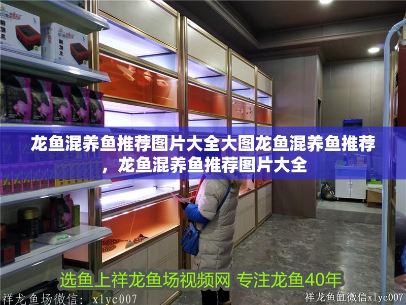 龍魚混養(yǎng)魚推薦圖片大全大圖龍魚混養(yǎng)魚推薦，龍魚混養(yǎng)魚推薦圖片大全