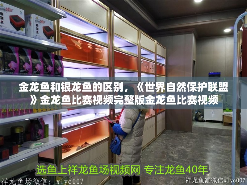金龍魚和銀龍魚的區別，《世界自然保護聯盟》金龍魚比賽視頻完整版金龍魚比賽視頻