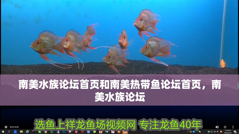 南美水族論壇首頁和南美熱帶魚論壇首頁，南美水族論壇