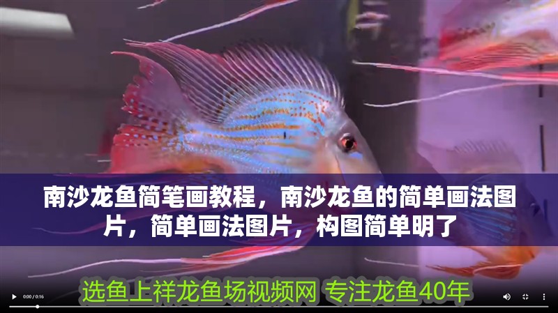 南沙龍魚簡筆畫教程，南沙龍魚的簡單畫法圖片，簡單畫法圖片，構圖簡單明了