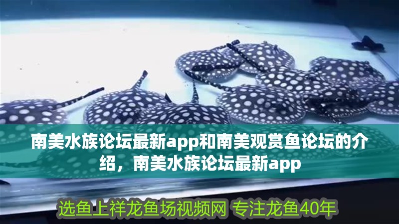 南美水族論壇最新app和南美觀賞魚(yú)論壇的介紹，南美水族論壇最新app