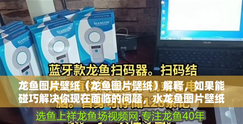 龍魚圖片壁紙（龍魚圖片壁紙）解釋，如果能碰巧解決你現在面臨的問題，水龍魚圖片壁紙