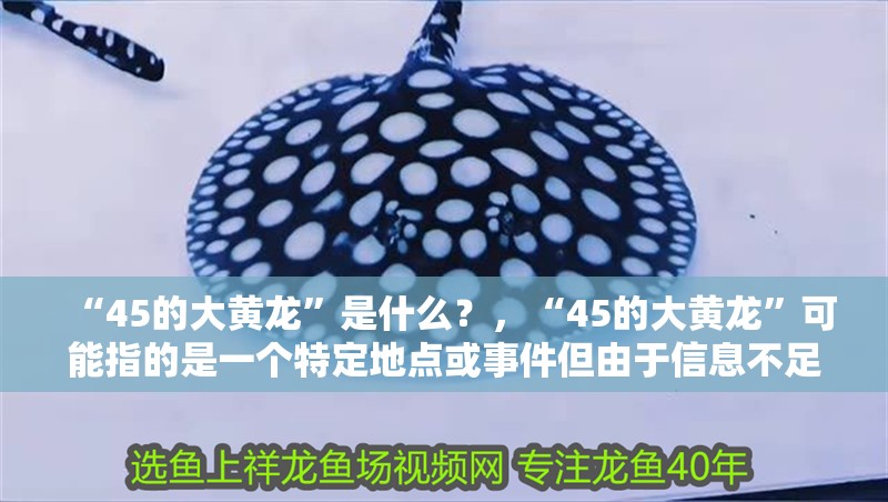 “45的大黃龍”是什么？，“45的大黃龍”可能指的是一個(gè)特定地點(diǎn)或事件但由于信息不足