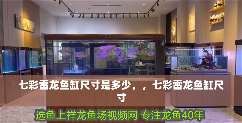 七彩雷龍魚(yú)缸尺寸是多少，，七彩雷龍魚(yú)缸尺寸