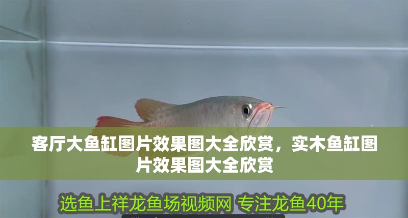 客廳大魚缸圖片效果圖大全欣賞，實(shí)木魚缸圖片效果圖大全欣賞