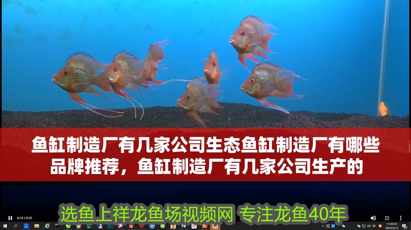 魚缸制造廠有幾家公司生態魚缸制造廠有哪些品牌推薦，魚缸制造廠有幾家公司生產的