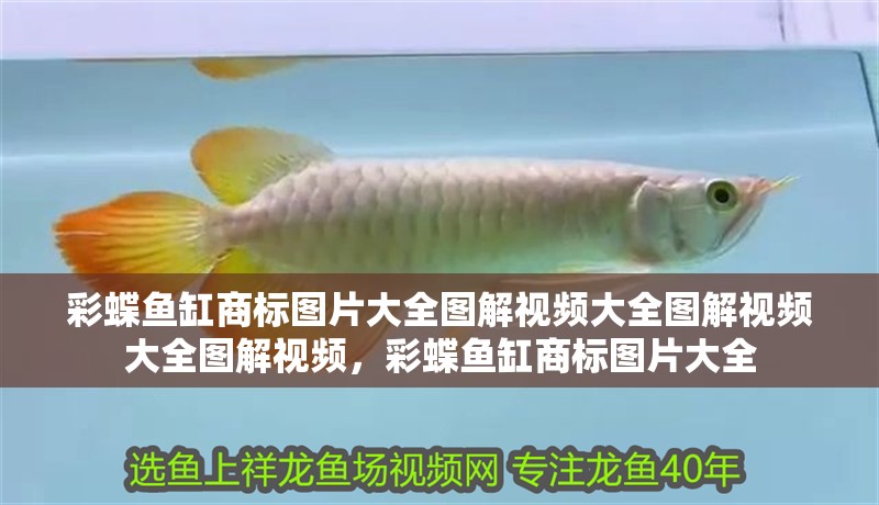 彩蝶魚缸商標圖片大全圖解視頻大全圖解視頻大全圖解視頻，彩蝶魚缸商標圖片大全