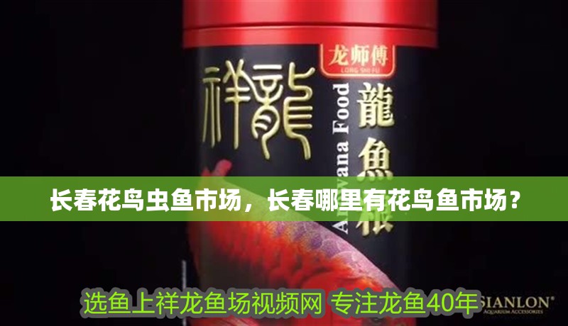 長春花鳥蟲魚市場，長春哪里有花鳥魚市場？
