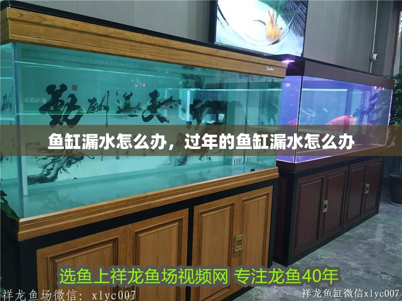 魚缸漏水怎么辦，過年的魚缸漏水怎么辦