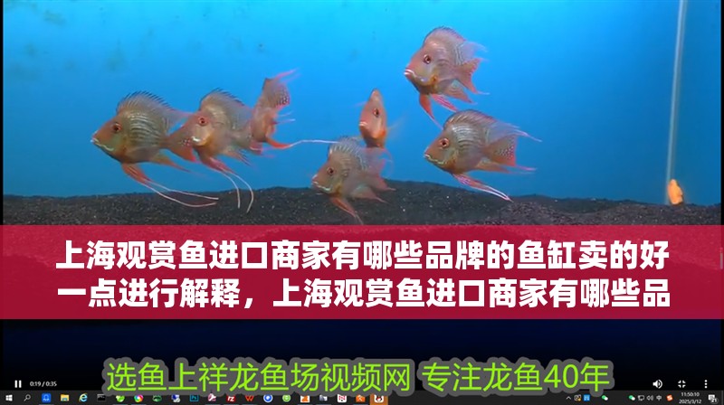 <strong><mark>上海</mark></strong>觀賞魚進口商家有哪些品牌的魚缸賣的好一點進行解釋，<strong><mark>上海</mark></strong>觀賞魚進口商家有哪些品牌的魚缸賣得好