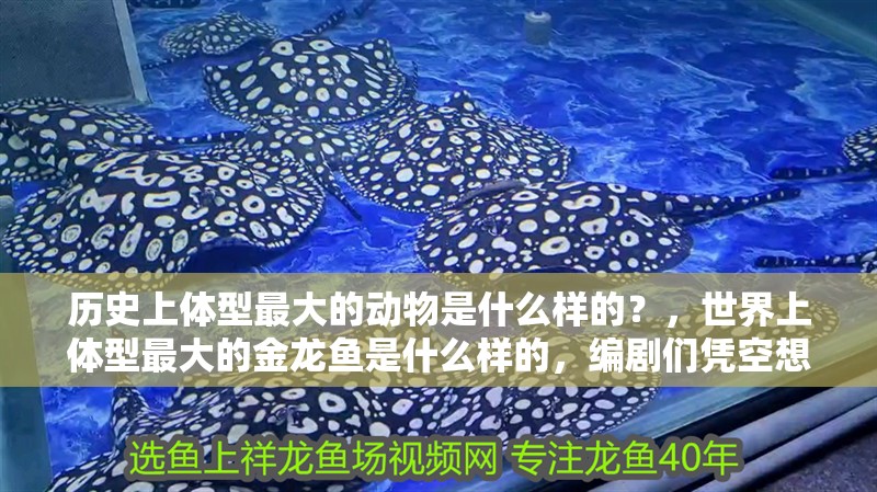 歷史上體型最大的動物是什么樣的？，世界上體型最大的金龍魚是什么樣的，編劇們憑空想象出來的么