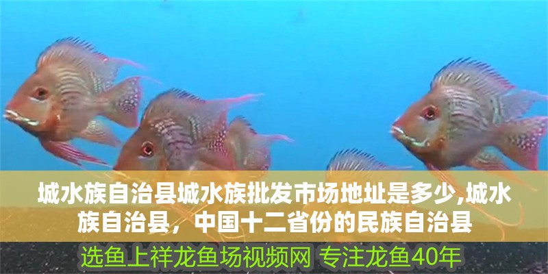城水族自治縣城水族批發市場地址是多少,城水族自治縣，中國十二省份的民族自治縣